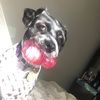 davischuck80773